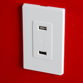 LD-U001 4.2A Умный высокоскоростной USB-зарядщик, 2 USB-порта с 2 стенными пластинами